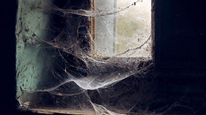 Zkomplikujte pavoukům vstup do vaší domácnosti s těmito triky