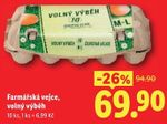 Farmářská vejce volný výběh 10 ks