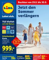 Lidl - Reise-Highlights