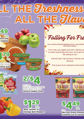 Homeland Stores - Bring Savings Home Shopper's Guide