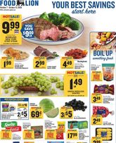 Food Lion weekly ad from Wednesday 10/07
