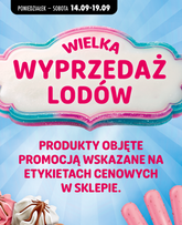 Biedronka - Wyprzedaż lodów