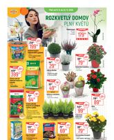 Globus - Rozkvetlý domov plný květů