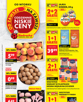 Biedronka Poľsko leták platný od utorka 01.09.