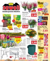 Jawoll-Prospekt von Montag 14.09.