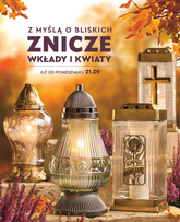 Biedronka - Znicze