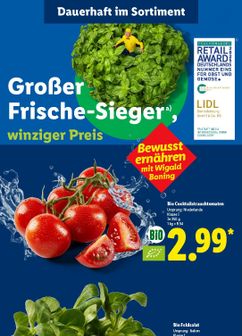 Lidl-Prospekt von Montag 14.09.