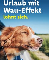 Lidl - Urlaub mit Hund