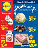 Lidl leták od pondělí 24.08.