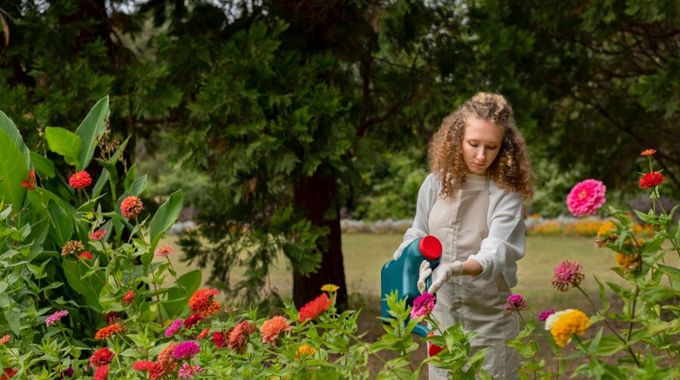 Podívejte se na tipy, jak ušetřit peníze, při nákupu rostlin