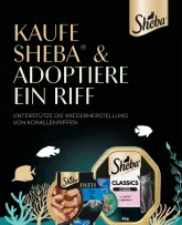 ALDI NORD - Sheba
