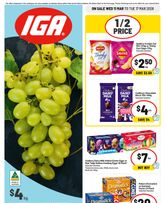IGA - Large
