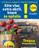 Lidl - Trnava