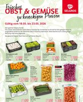 Selgros - Obst & Gemüse