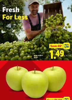 Lidl weekly ad from Wednesday 03/18