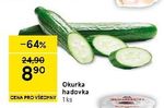 Okurka hadovka 1 ks