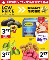 Giant Tiger flyer from Wednesday 03-18