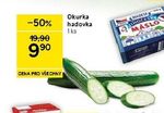 Okurka hadovka 1ks