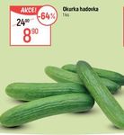 Okurka hadovka 1 ks