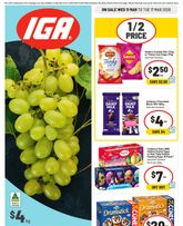 IGA - Medium