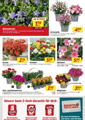 toom-Prospekt von Samstag 28.03.