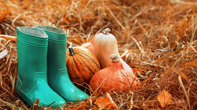 Jesenná starostlivosť o záhradu vám na jar uľahčí prácu