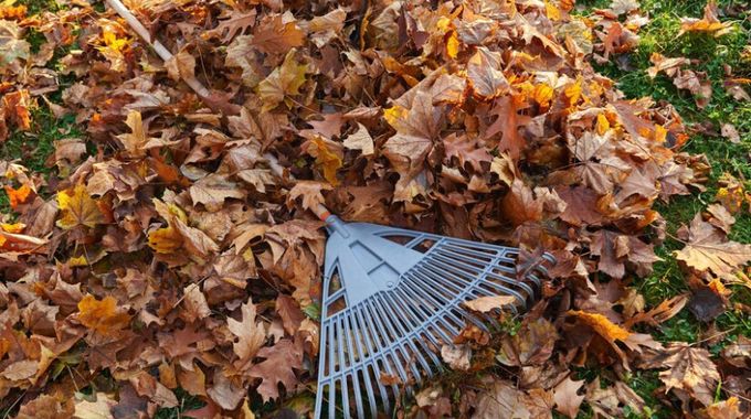 Popadané listí nevyhazujte. Zakryjte s ním rostliny nebo vytvořte úkryt na zimu pro zvířata