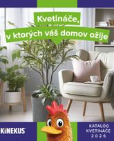 Kinekus - Katalóg Kvetináče