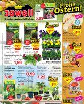 Jawoll-Prospekt von Montag 30.03.