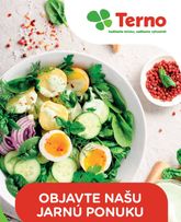 Terno - Brand katalog