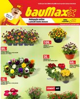 Baumax leták od neděle 01.03.