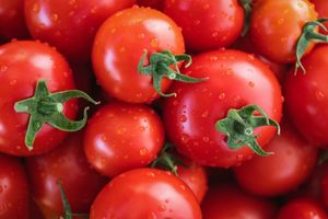 Jak využít velkou nadílku rajčat