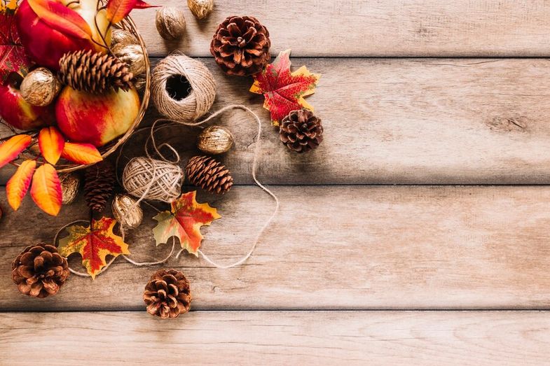 dekorace na podzimn&iacute; tvořen&iacute;