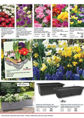 BAUHAUS leták od pátku 06.03.