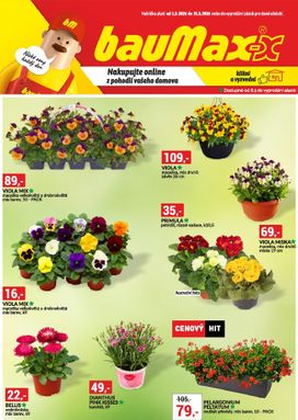 Baumax leták od neděle 01.03.