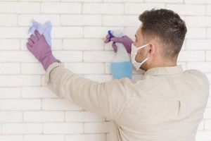 Plíseň se může objevit i u vás doma a to nejen na zdi. Kde všude se tvoří a jak ji odstranit?