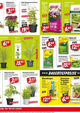REPO-Prospekt von Montag 18.05.