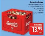 Budweiser Budvar 20 x 0,5 l