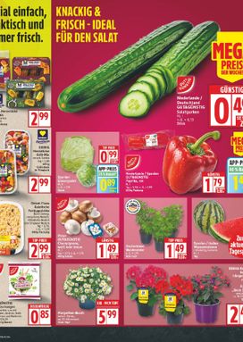 Edeka Německo leták od pondělí 27.04.