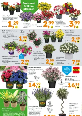Globus Baumarkt-Prospekt von Sonntag 17.05.