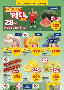 PENNY Maďarsko leták platný od štvrtka 11.06.