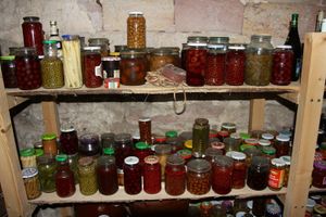 Jak se zbavit octomilek, které se objevují i během zimy