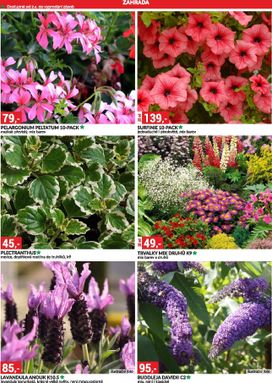 Baumax leták od středy 01.04.